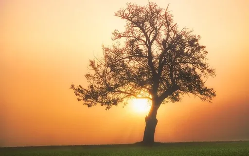 The Spontaneous Joy Of Being