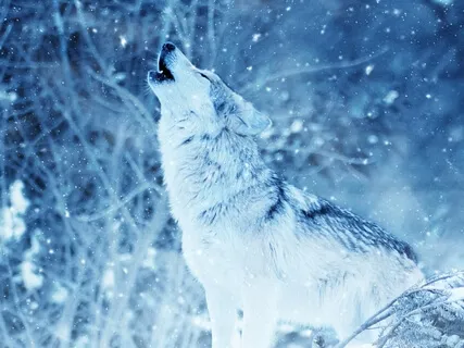 Opening A Door Into The Spirit Worlds