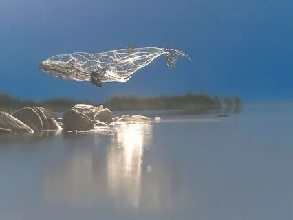 The Starlit Voyage Of Liora And The Sleepwind Whale