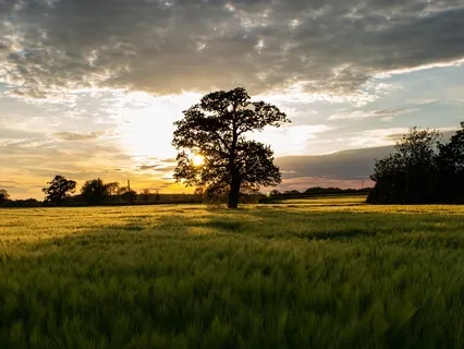 The Start Of Compassion Season!