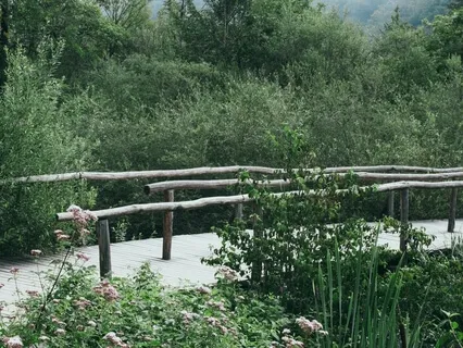 The Start Of Your Journey - For Beginners (Short Version)