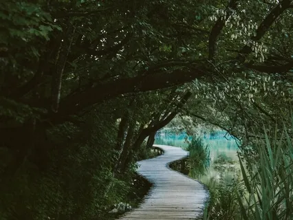 The Start Of Your Journey - For Beginning Meditators