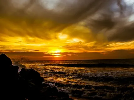 The State Of Our Nervous System