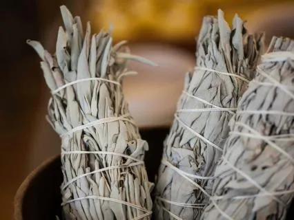 The State Of The Mind