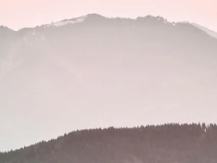 The Steel Tongue Drum Is Alive