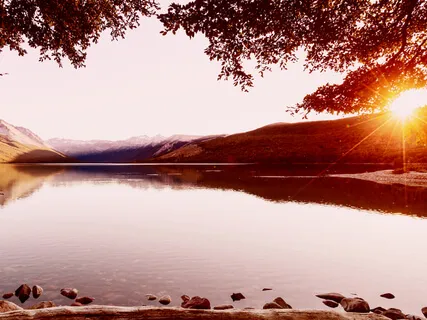 The Still Of Silence