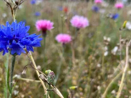 The Still Point Beneath Life's Changes - August 20th