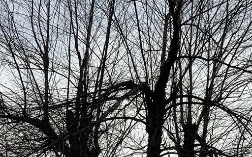 The Stillness Is Already Here