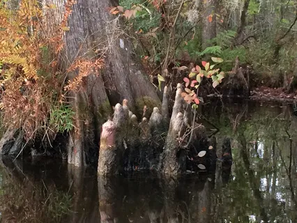 The Stillness of Time