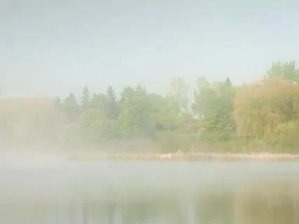 The Stillness Of Your Higher Self