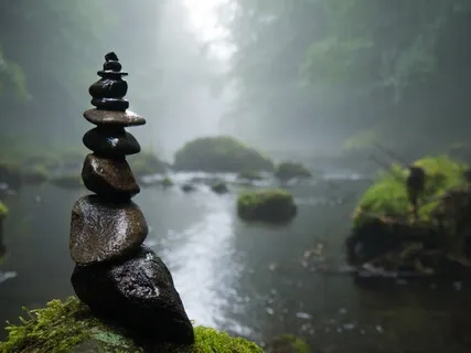 The Stillness Within