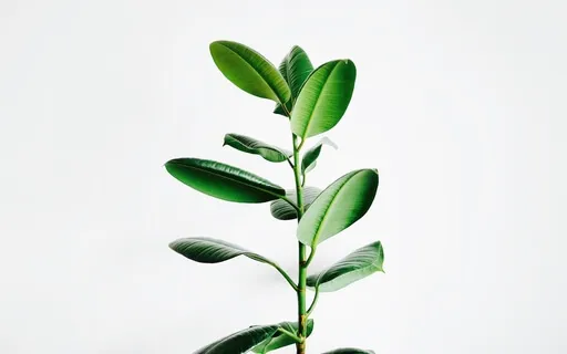 The Stoic Tactic To Break The Cycle Of Stress