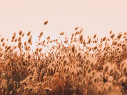 Quick Relief From Stress - Stoic Test Meditation