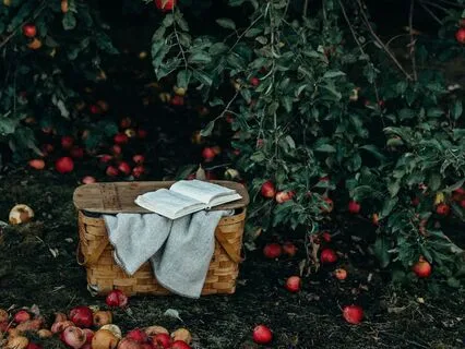 The Stone Cottages Of Orchard Lane: Soothing Sleepy Journey