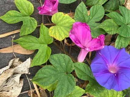 The Stories We Tell Ourselves