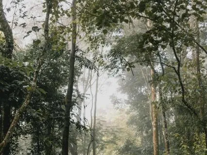 The Storm Becomes The Santuary - Piano, Violin, And Rain