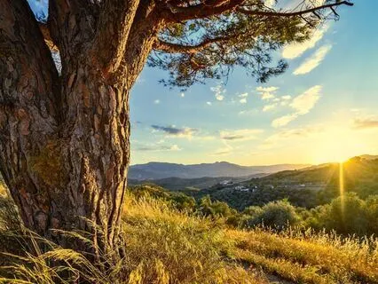 The Story Of A Song & Being With What's Here