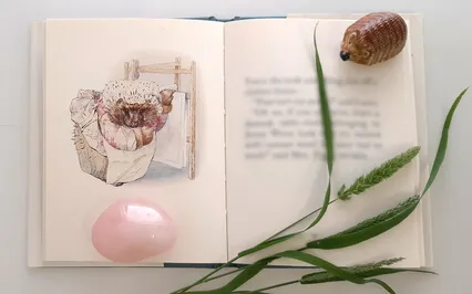 The Story Of Busy Mrs. Hedgehog