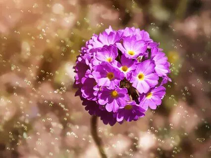 The Story Of Demeter And Persephone – A Time Of Reflection