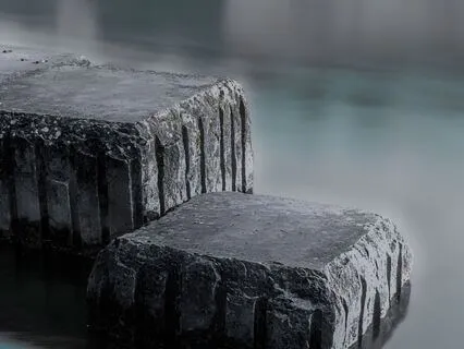 The Story Of Doctor Dolittle - Chapters 19-21 (The End)