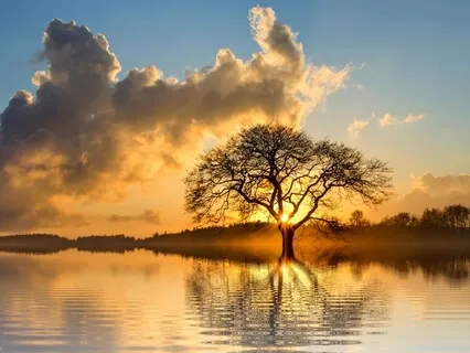 The Story Of Interconnectivity