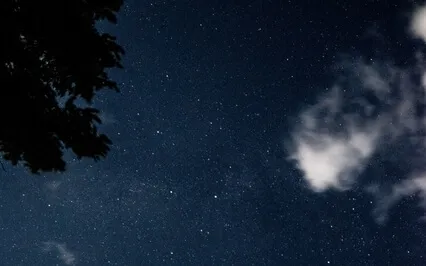 The Story Of Mankind - Part 10