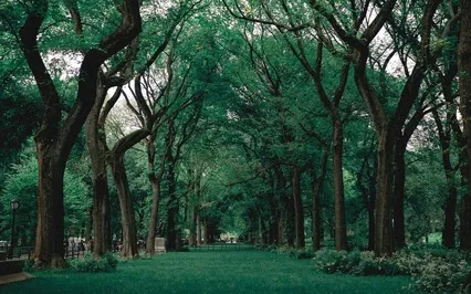 The Story Of Mankind - Part 14