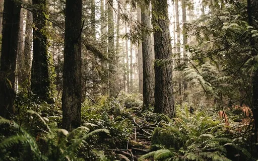 The Story Of Mankind - Part 20