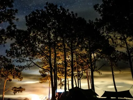 The Story Of Mankind - Part 24