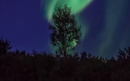 The Story Of Mankind - Part 26