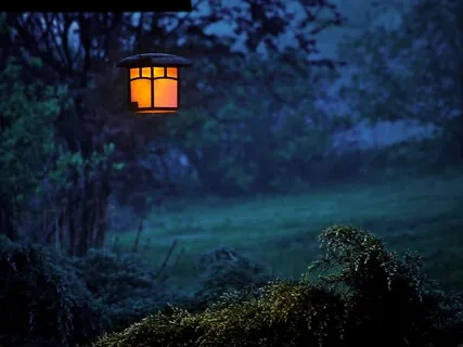 The Story Of Mankind - Part 3