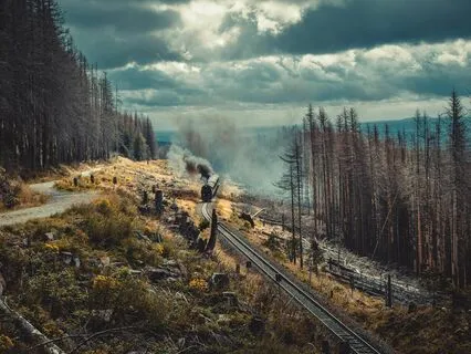 The Story Of Mankind - Part 30