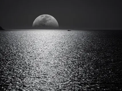 The Story Of Mankind - Part 8