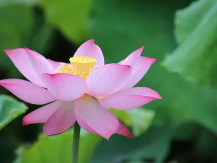 Hindu Tales: The Most Important Question In The Life?