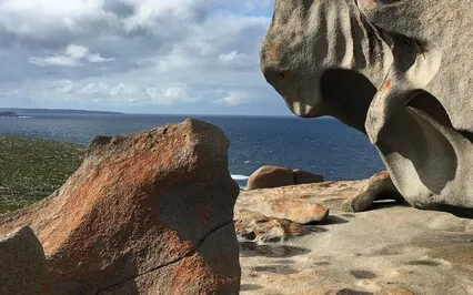 The Story Of Your Body Part 1: The Unmanageable Child