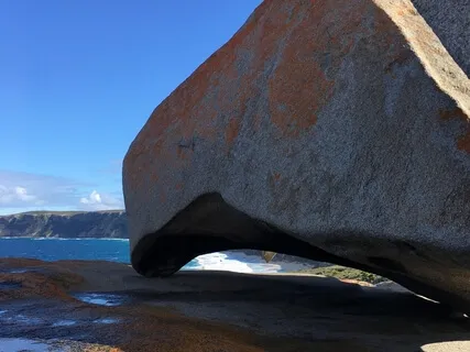 The Story Of Your Body Part 3: You Are The Expert