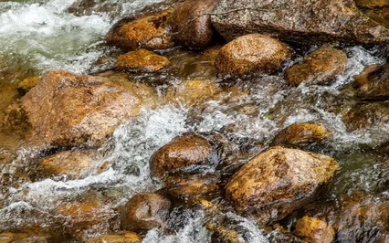 The Stream - Energy Recall