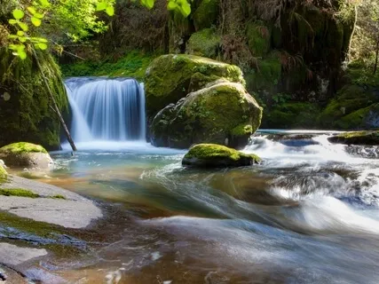 The Stream Of Healing: Wash Stress Away