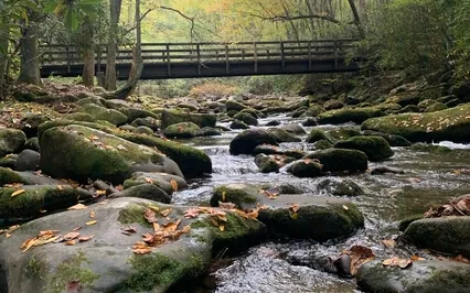 The Stream Of Thoughts