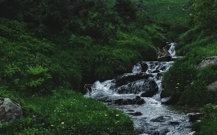 The Stream's Offering