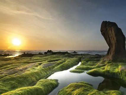 The Strength of Defenselessness: Developing True Power