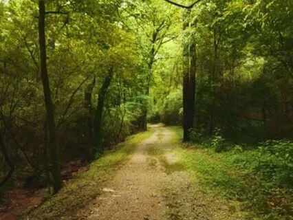 The Struggle Is Real: Acceptance Is A Gift