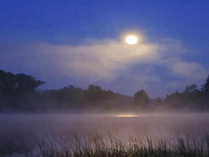 The Sturgeon Moon: Reflective Practice