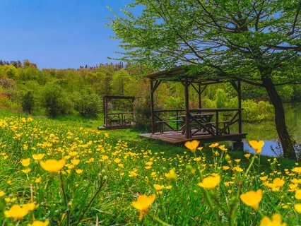 Part 1 - The Substance Of Thought And Meditation 