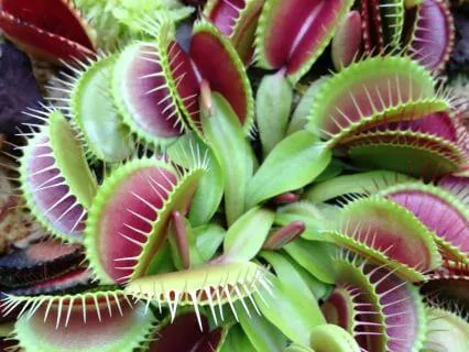 The Subtle Trap Of Trying Too Hard || Alignment