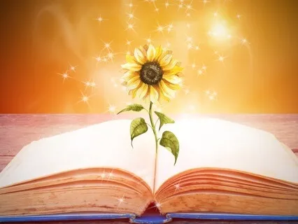 The Summer Day Library