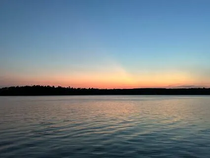 The Summer Day - Poem Mary Oliver