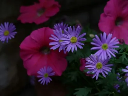 The Summer Nap: A Relaxing Journey For Rest