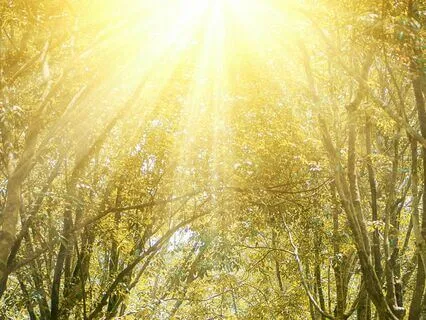 The Sun God Vibration, Cosmic Andean Frequency