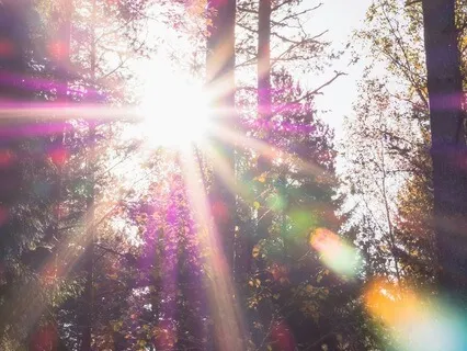 The Sun's Gift: A Tale Of Light And Kindness